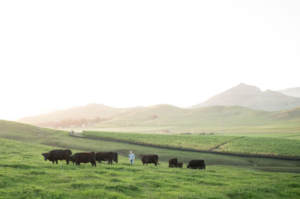 Ostrander's Ranch. Photo by Christopher Bersbach.