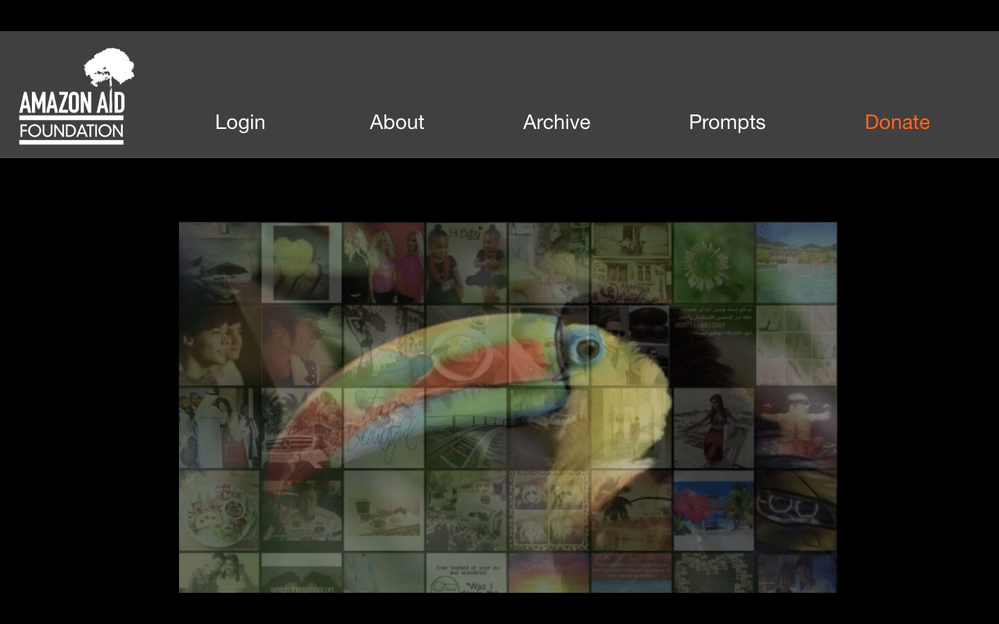 Prototype of Amazon Aid's digital portal. One of the projects to bring awareness to the importance of the Amazon.
