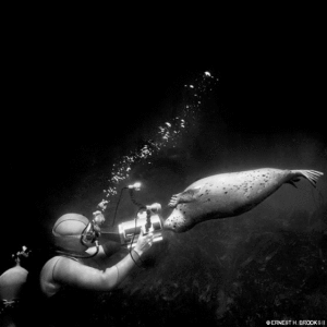 "Spot" posing for the camera