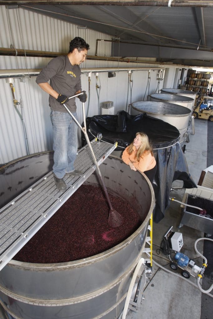 Homar is punching down and pumping over fermenting Pinot Noirs.
