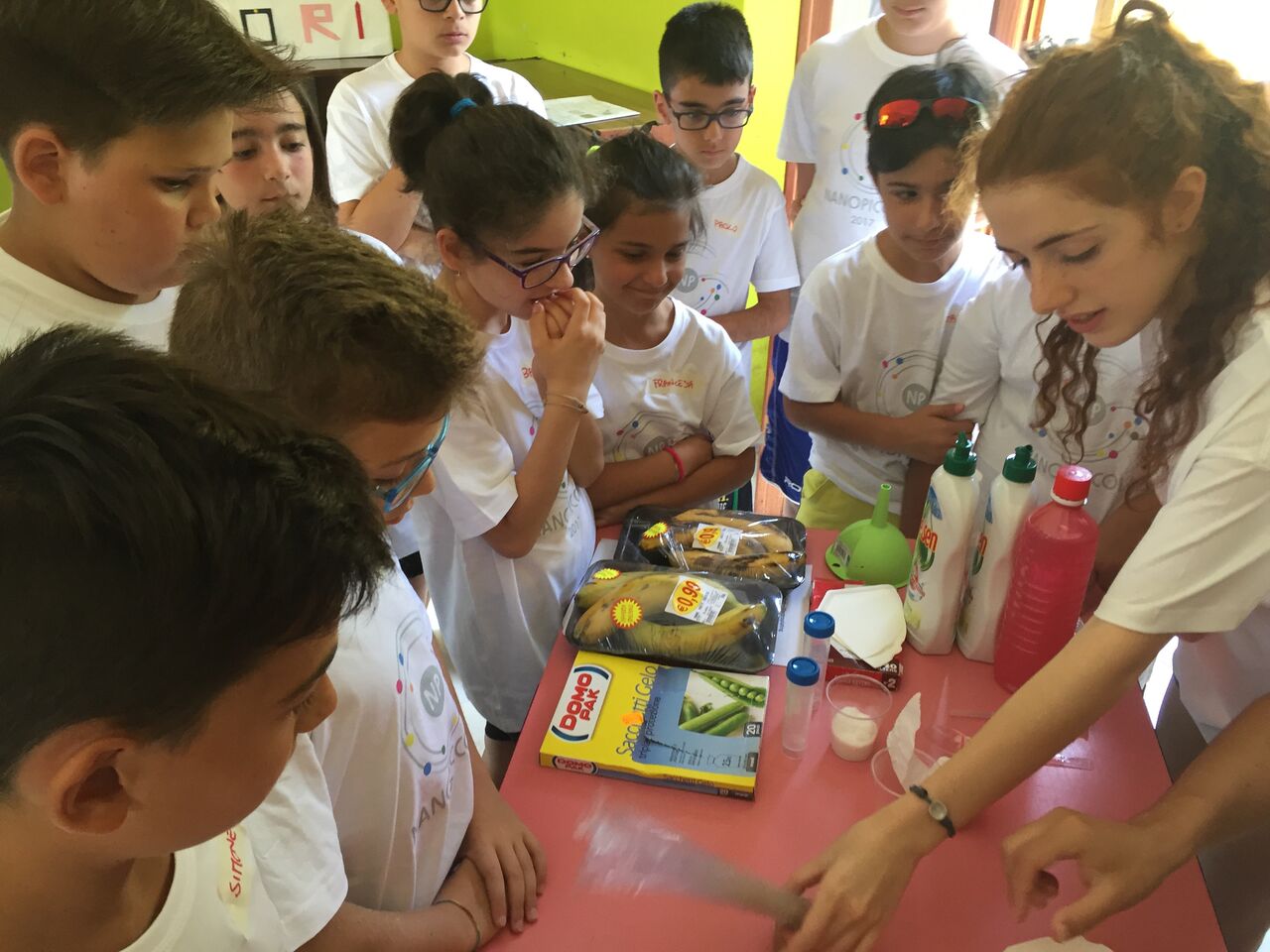 The town's NanoPiccola’s participants learning about nanoscience with experiments and hands-on activities taught by trained students.