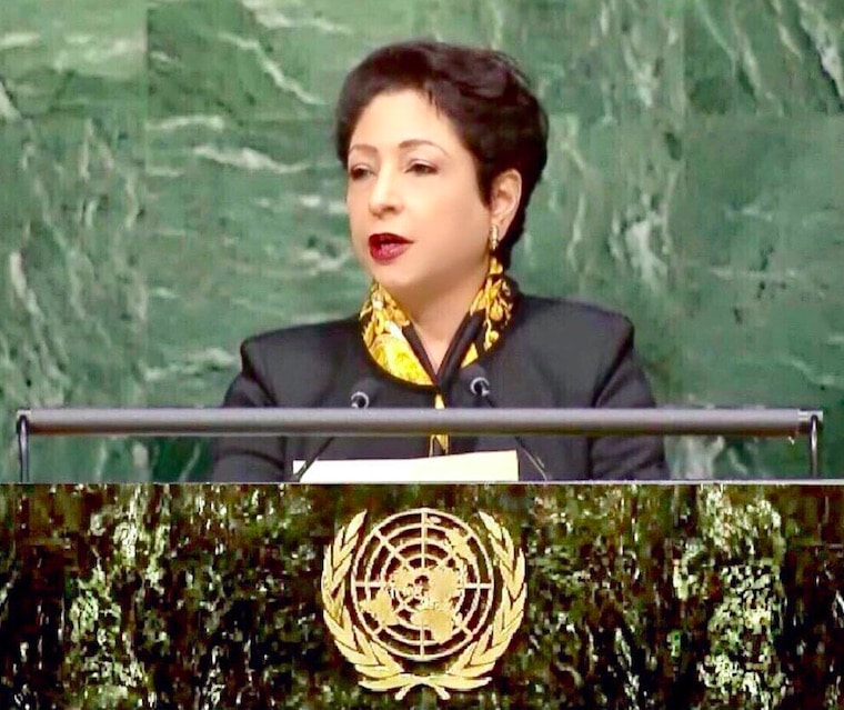 Pakistan's Ambassador to the United Nations (UN), Maleeha Lodhi