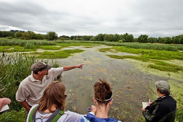 MFA Collaborative Design Studio Labs take students to project sites all around Oregon and the Portland Metro Area. Here the students are Ridgefield Wildlife Refuge. Photo: Laura DeVito.